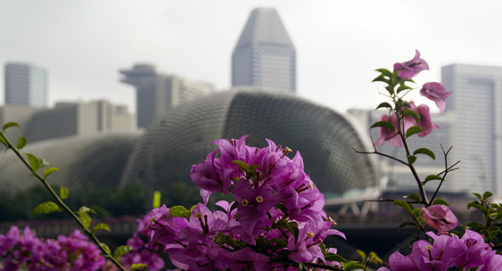 Singapore & Thailand