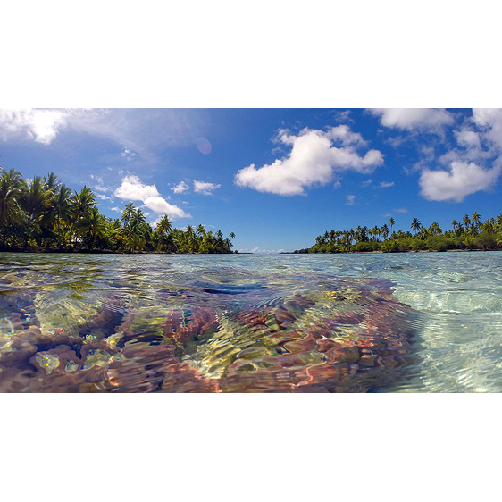 Raiatea Motu | French Polynesia