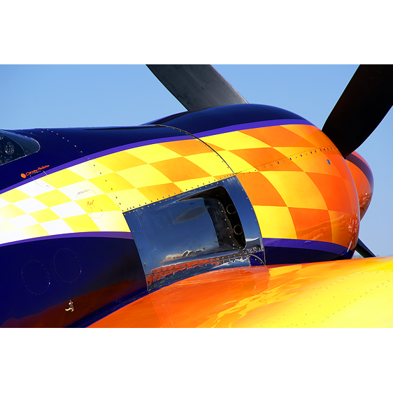 Rare Bear | Reno Air Races