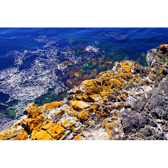 Tidal Basin | Washington Coast